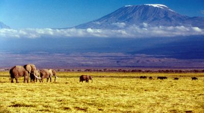 afryka kilimandżaro safari