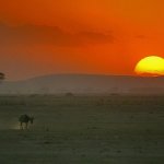 kenia zachod słonca