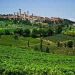 Toskania. Zabytkowe San Gimigmano a na pierwszym planie pola winnic i gajów oliwnych