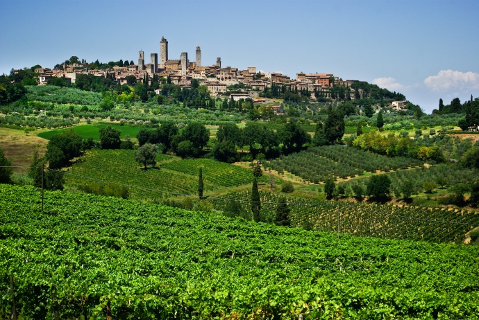 Toskania. Zabytkowe San Gimigmano a na pierwszym planie pola winnic i gajów oliwnych